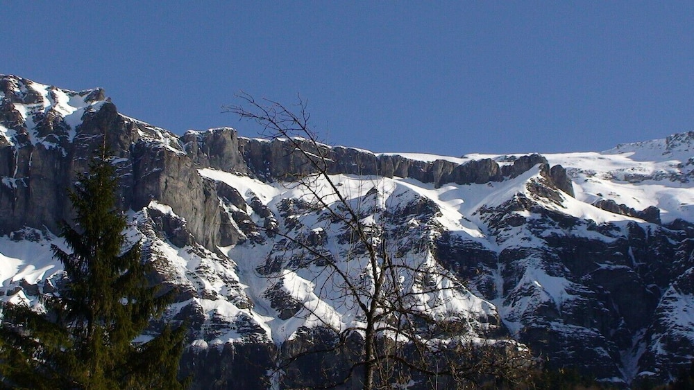 Photo 31