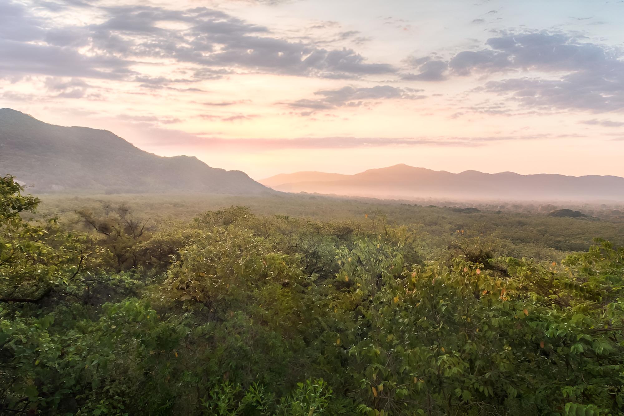 Elephant Stables Dambulla