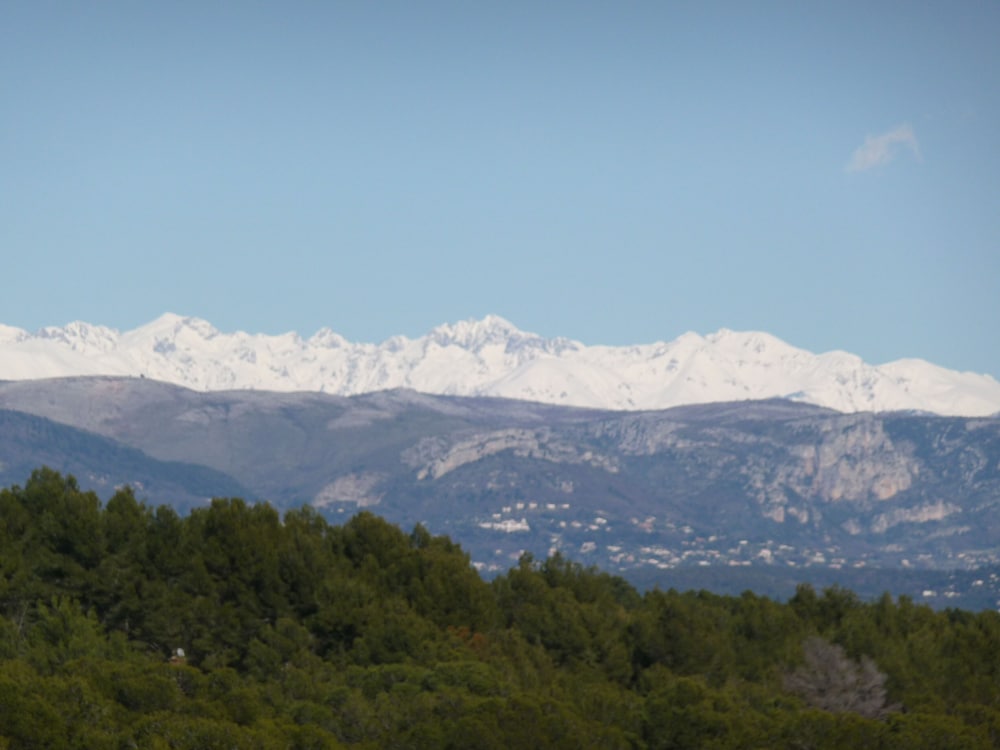Mougins Vacations - Propriete Prestige Cannes Mougins - Property Image 30