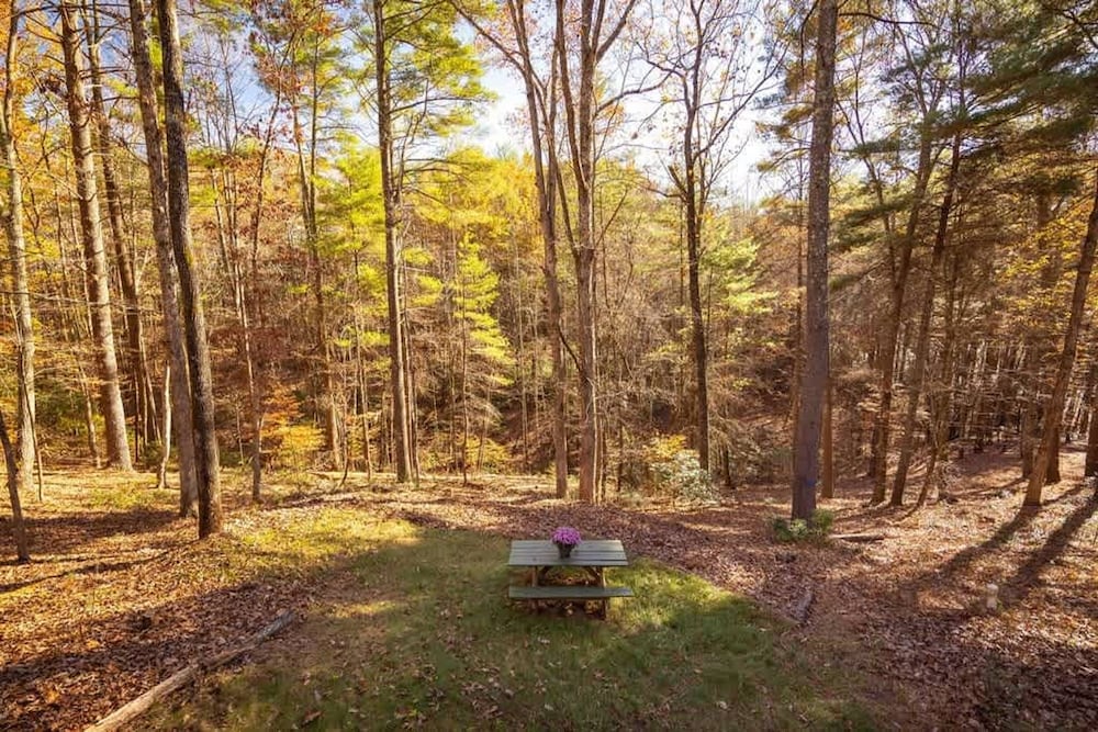 Blue Ridge Beech Cabin