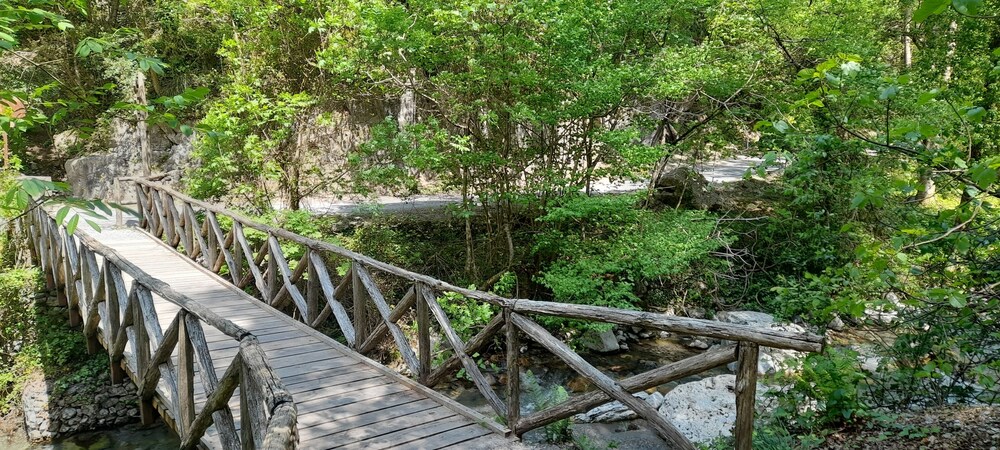 Photo 28