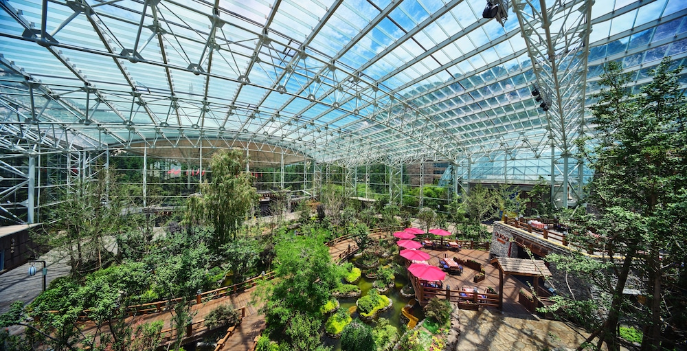 InterContinental Resort Jiuzhai Paradise by IHG 39