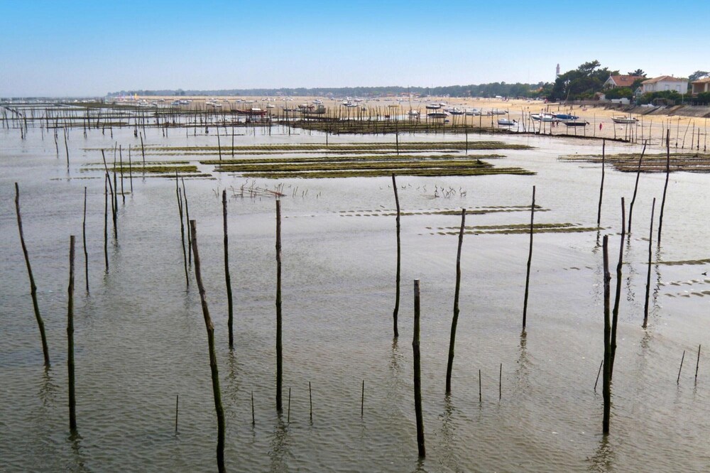 Heritage Mansion on Arcachon Bay