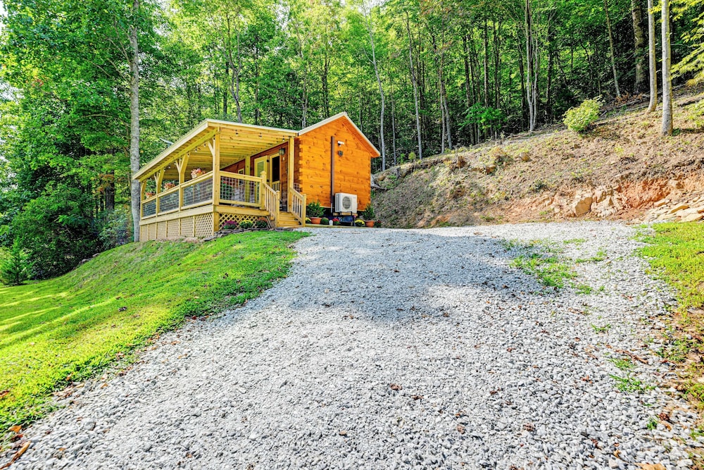 Franklin Cabin w/ Creek Access: Hike & Fish! view 5