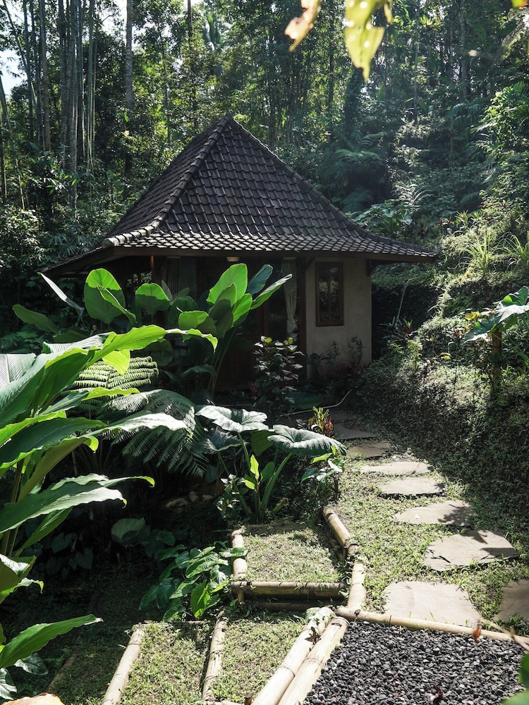The Karu Cabin by AGATA