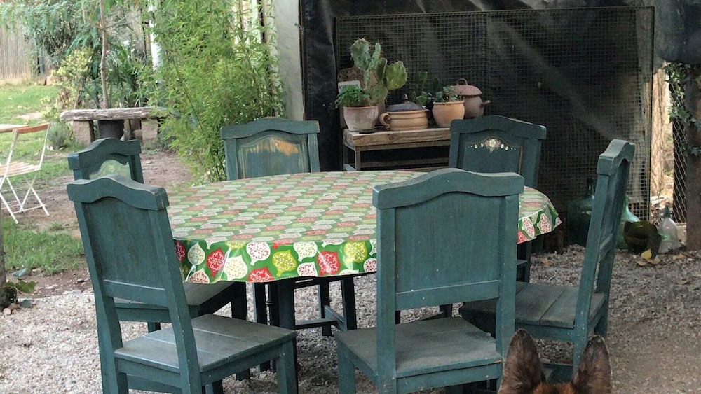 Holiday Home Dark Green House