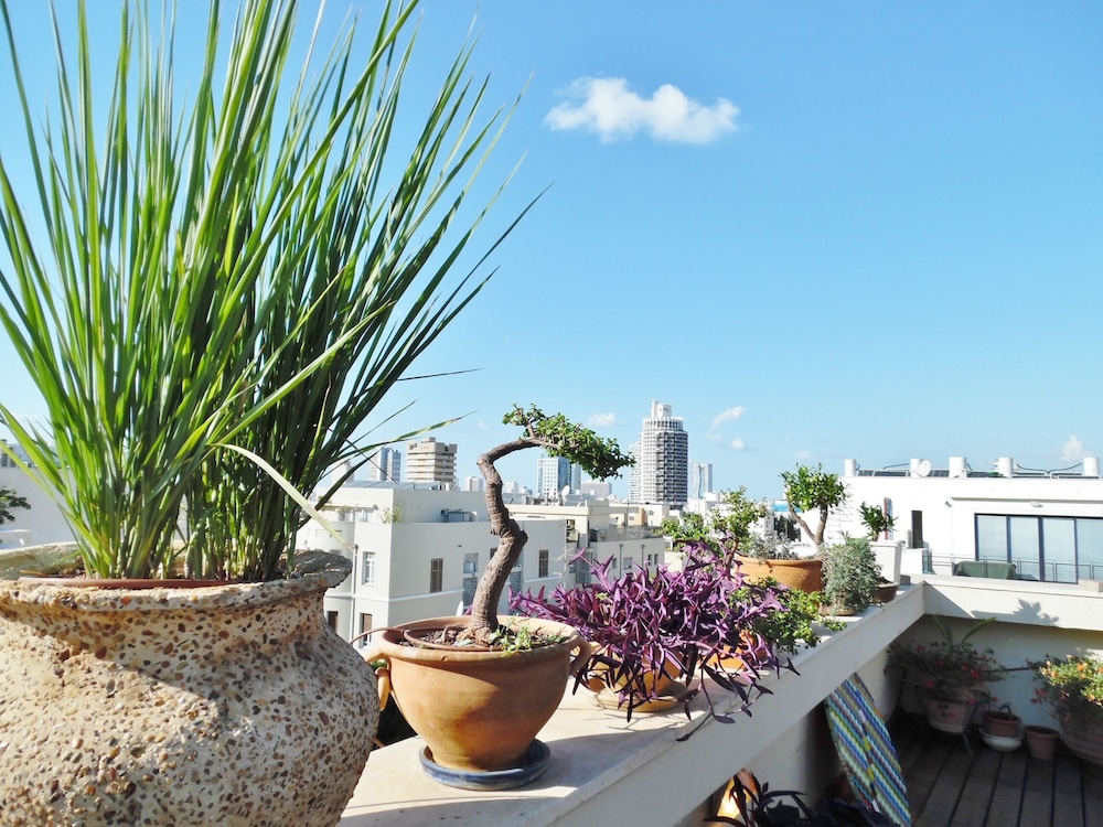 Super Central Stunning Roof 2BR Apt