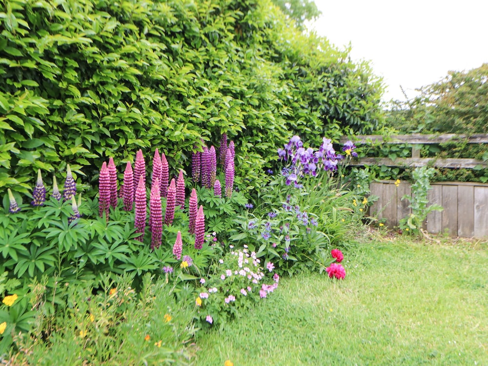 Mordon Moor Cottage