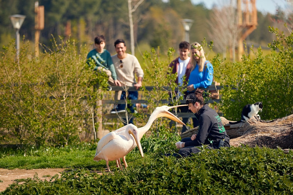 Center Parcs Le Bois aux Daims