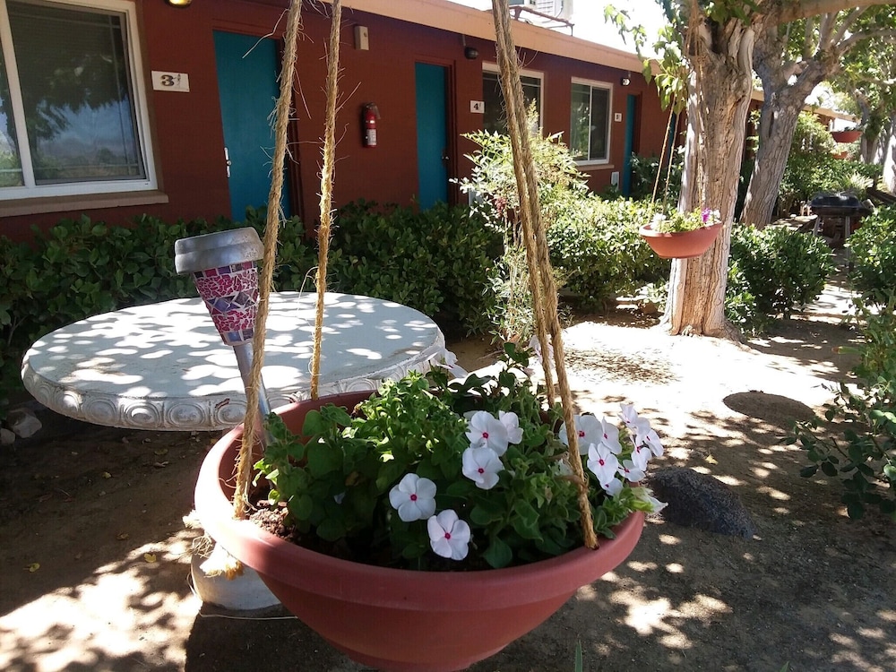 Photo 12