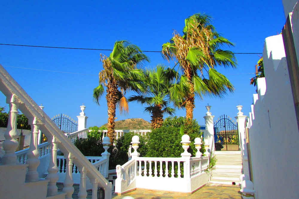 Castellino Studios