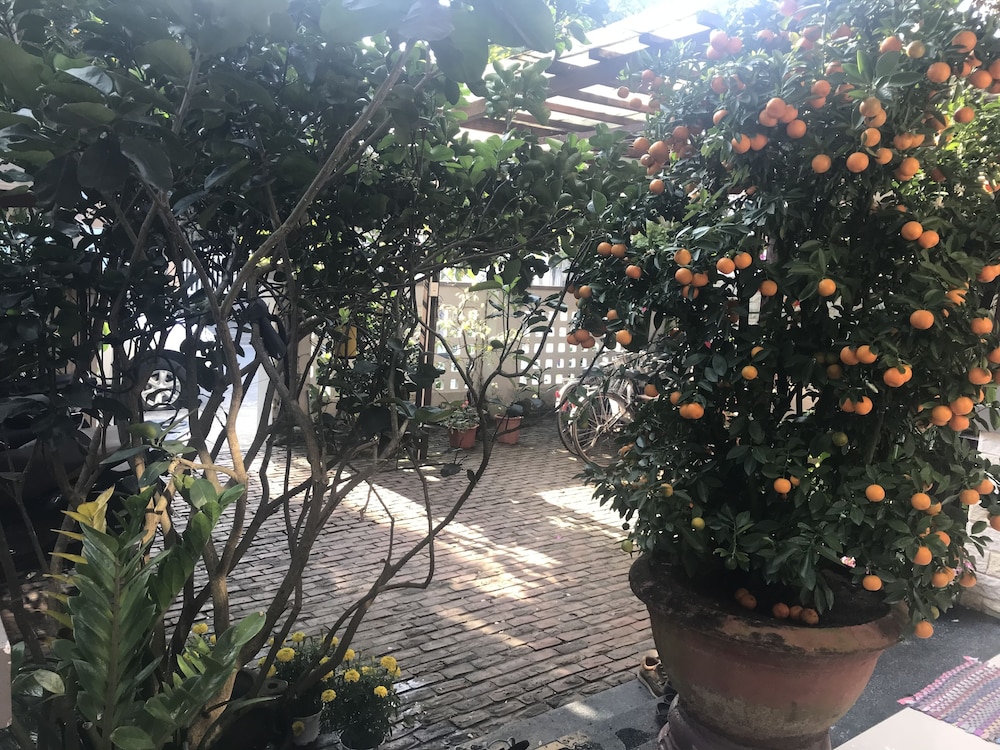 Mama's House Hoi An Homestay