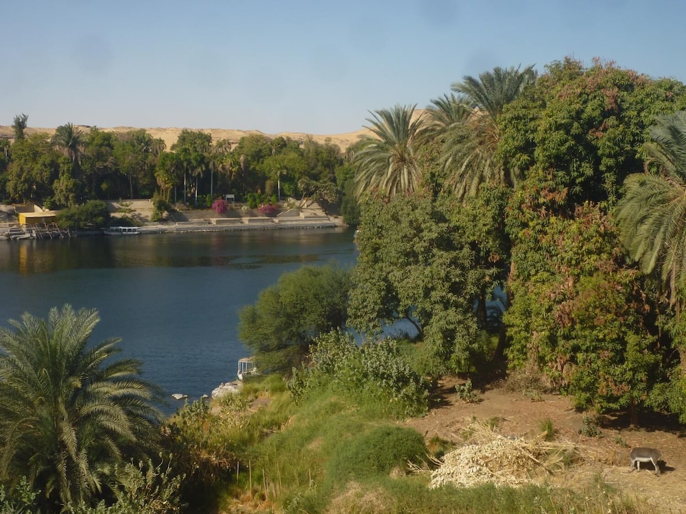 El Prince Guest House