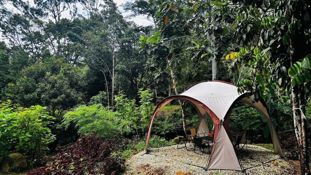 Hotel O Jerai Nature Glamping