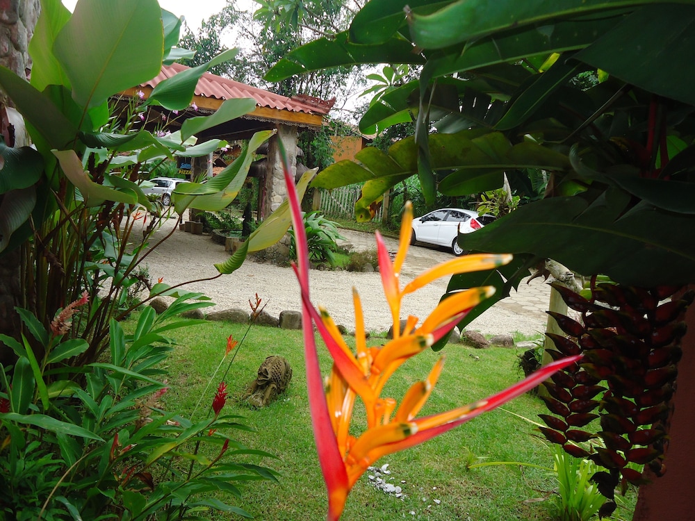 Bali Suites Itamambuca