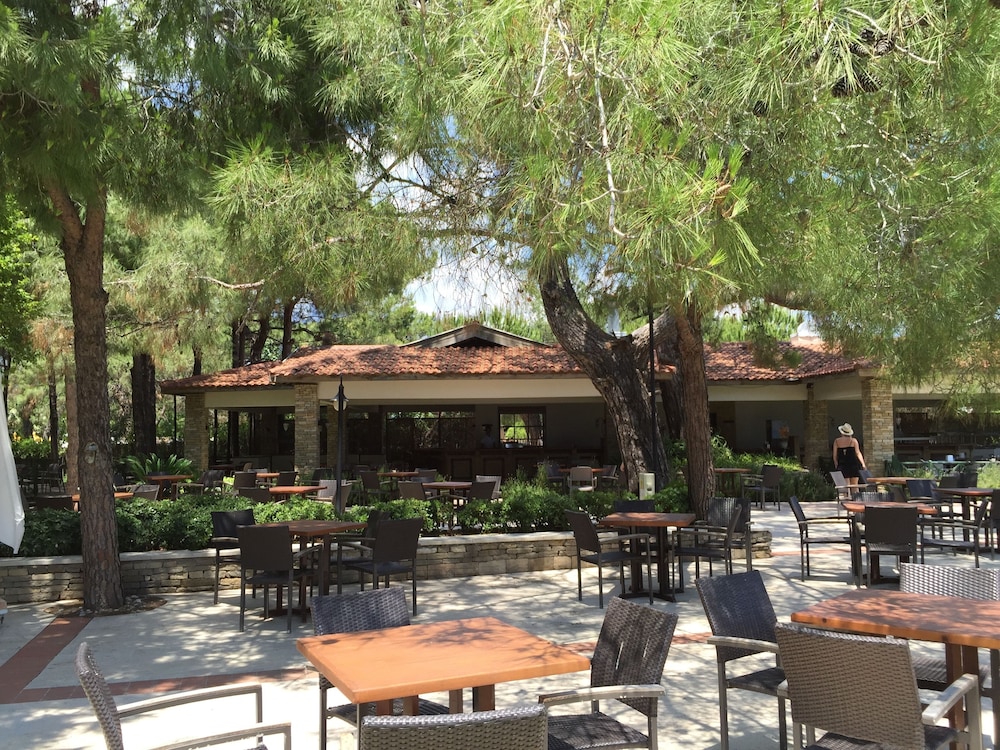 Champion Holiday Village - All Inclusive
