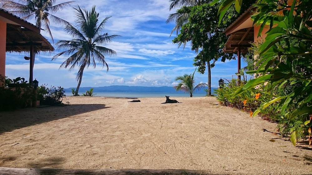 Papillon Bungalows