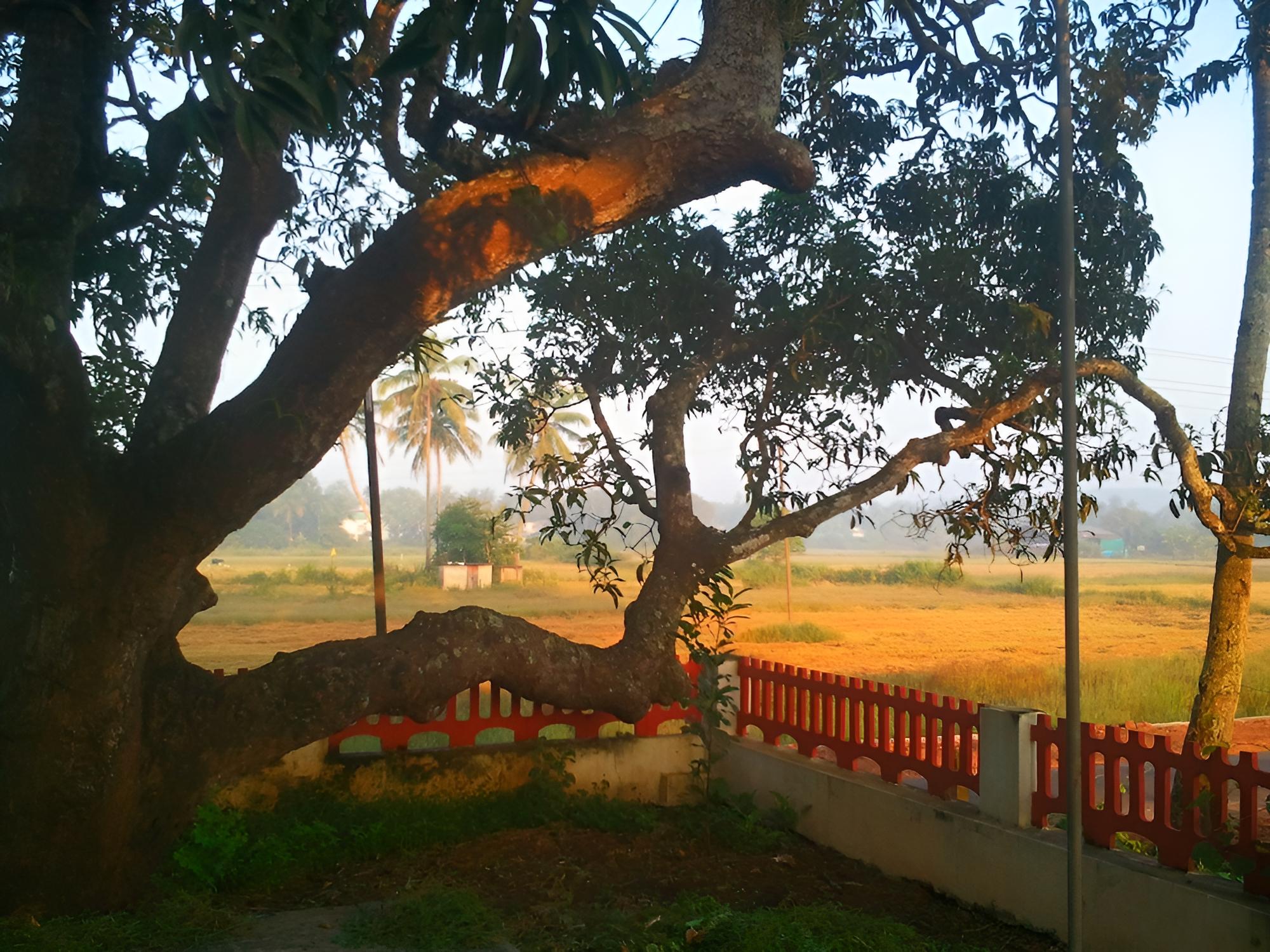 Quarto de Casa Tipri