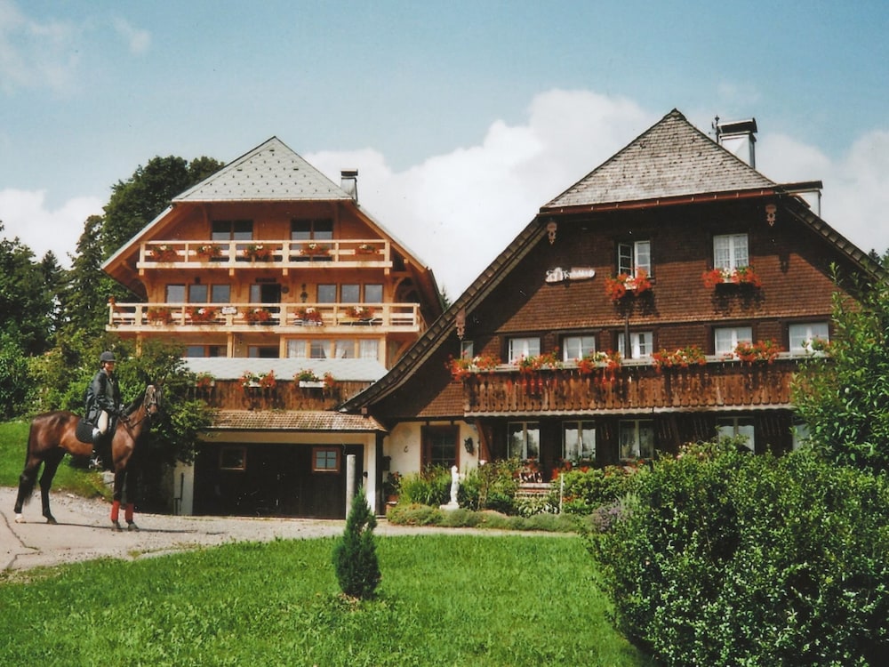 Apartment in Dachsberg-urberg view 3