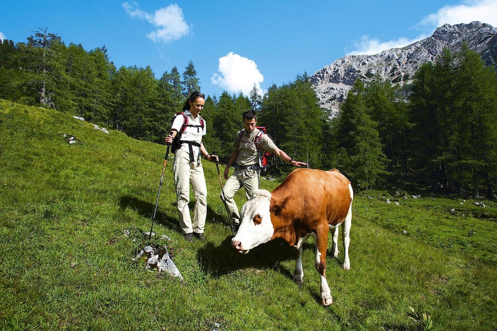 Holiday Home in St. Koloman Near Salzburg