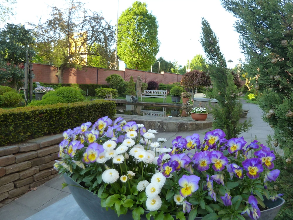 Photo 46