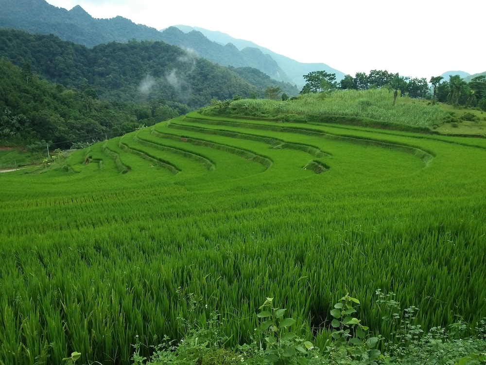 Pu Luong Holiday