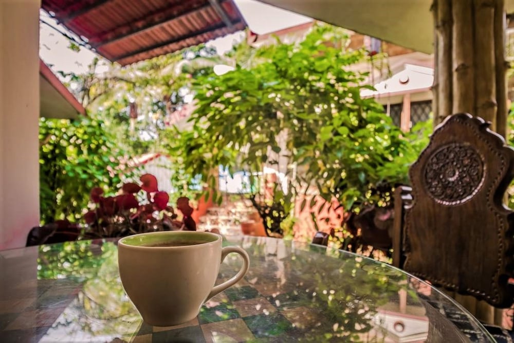 Hotel Boon'S Ark Anjuna Goa