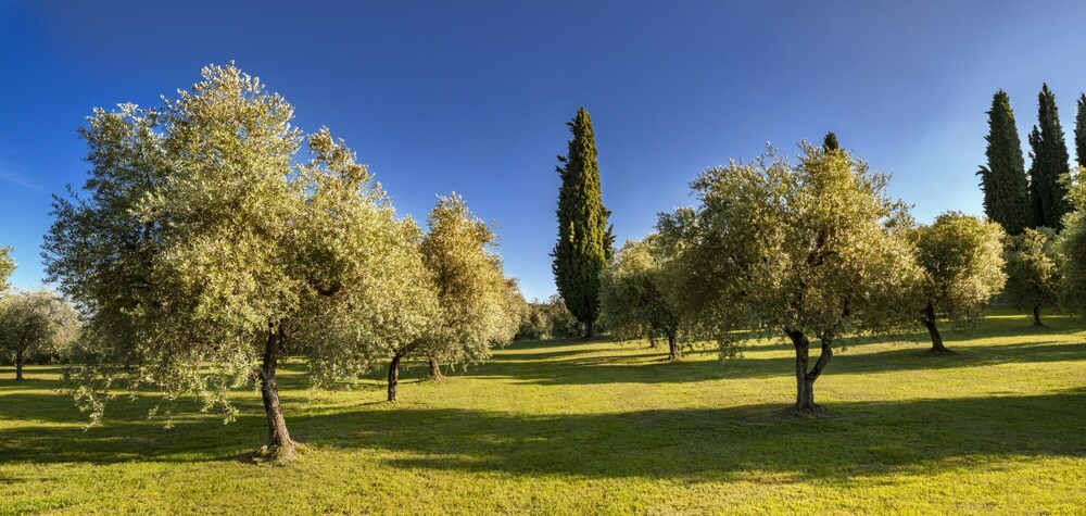 Agriturismo Borgo il Mezzanino