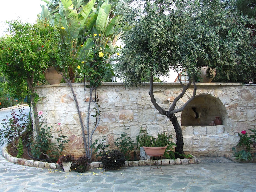 Photo 41