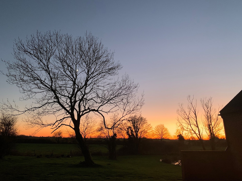 Brook Farm
