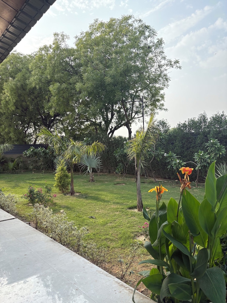 The Greenwood Farm And Lawn -Bijwasan
