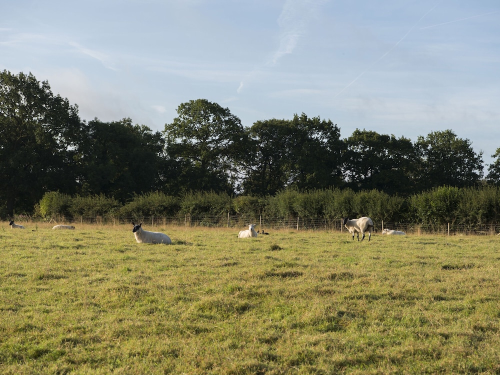 Barnfields Holiday Cottage