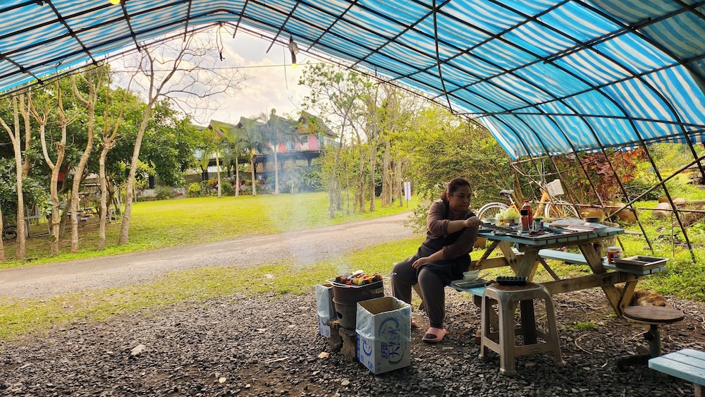 Kite Farm