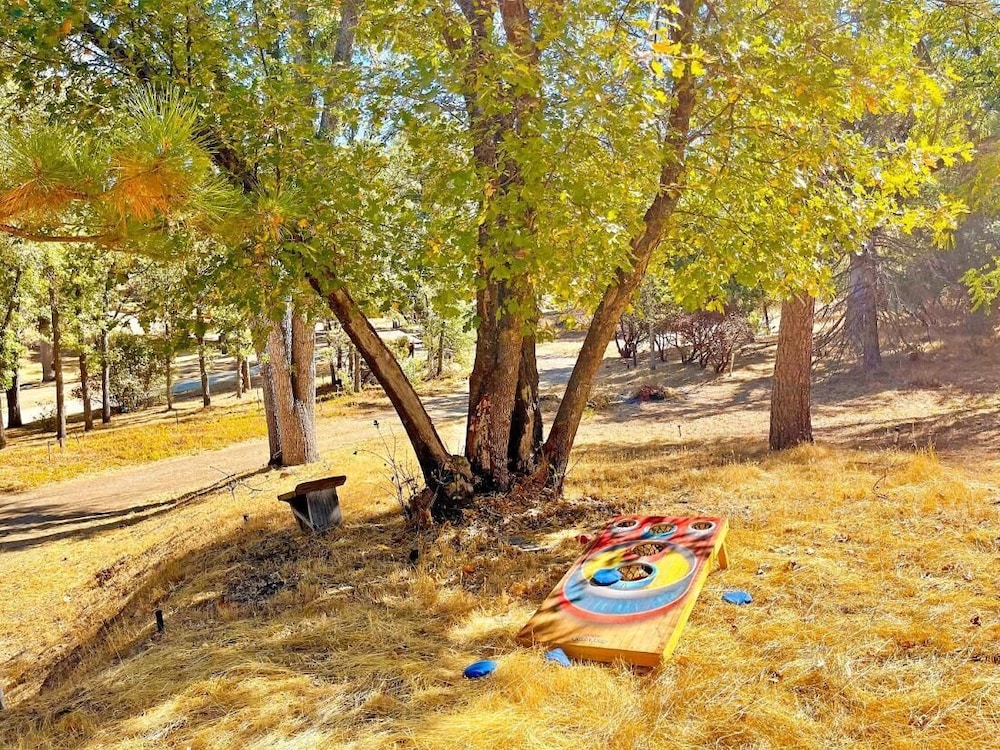 Modern Yosemite Cabin, 15min Bass Lake, Sleeps 8