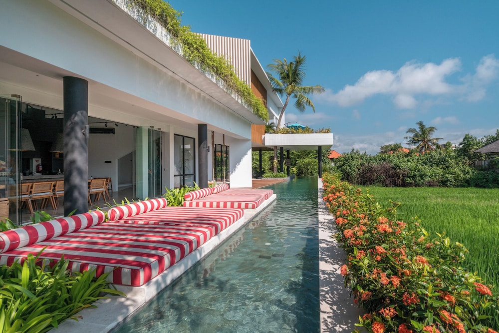 Mandala Oasis