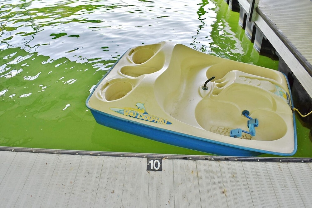 Photo 46