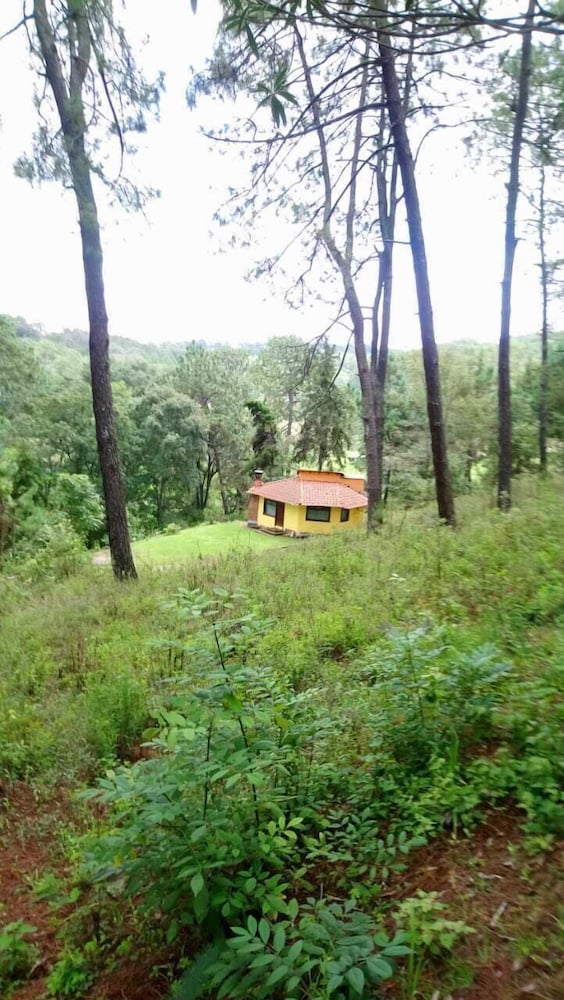 Cabañas el Pinar