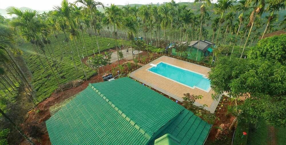 New Line Gods Land Resort