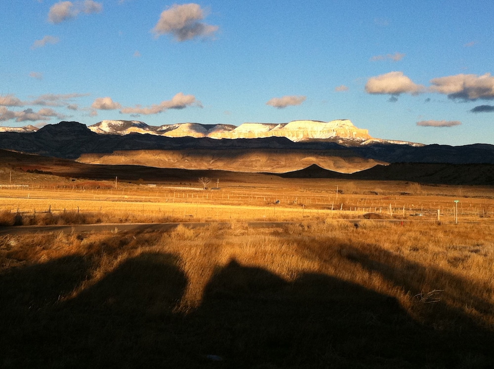 Photo 44