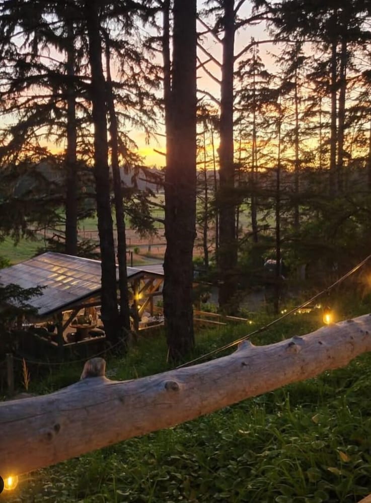 Haida Gwaii Glamping Co.