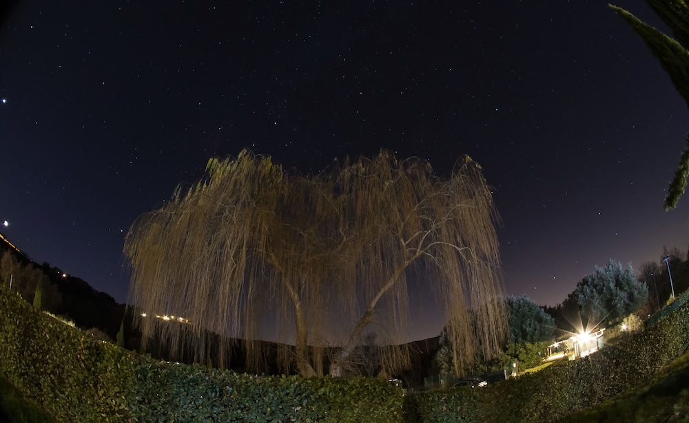 Tenuta Decimo