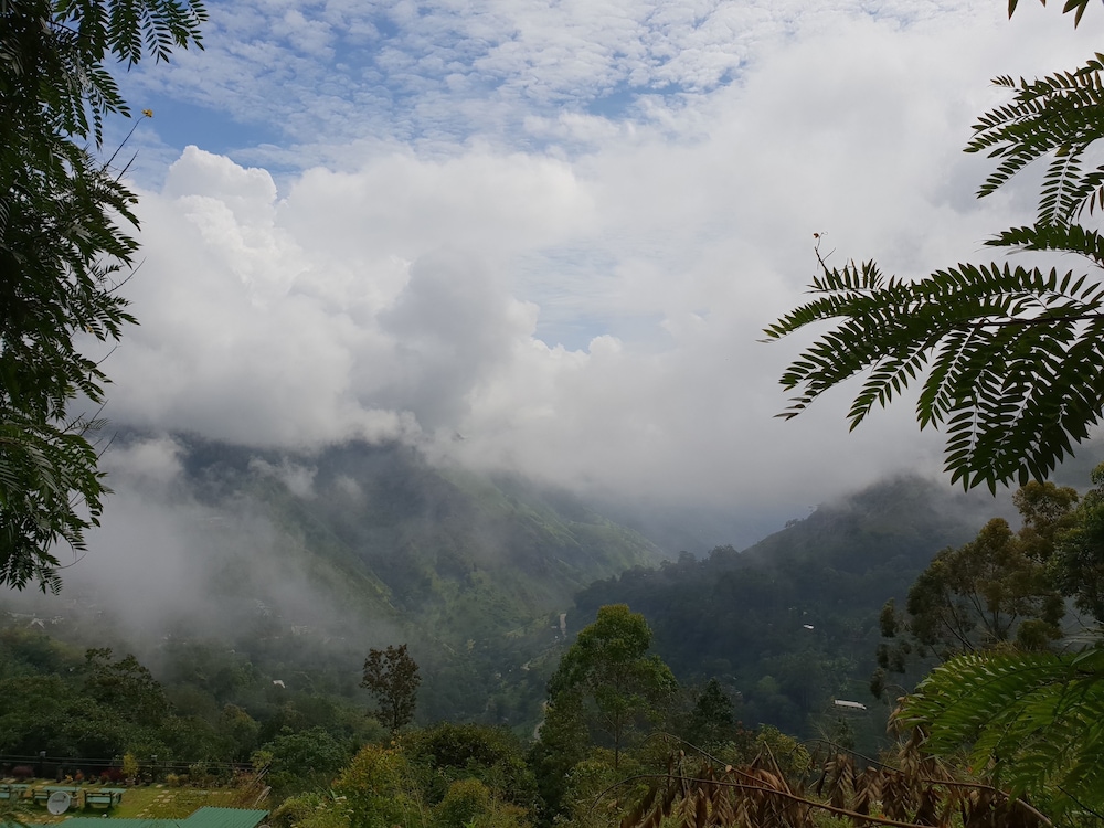 Adannz view