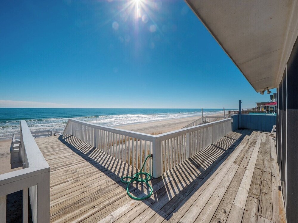 The Shark and the Seahorse by Topsail Realty
