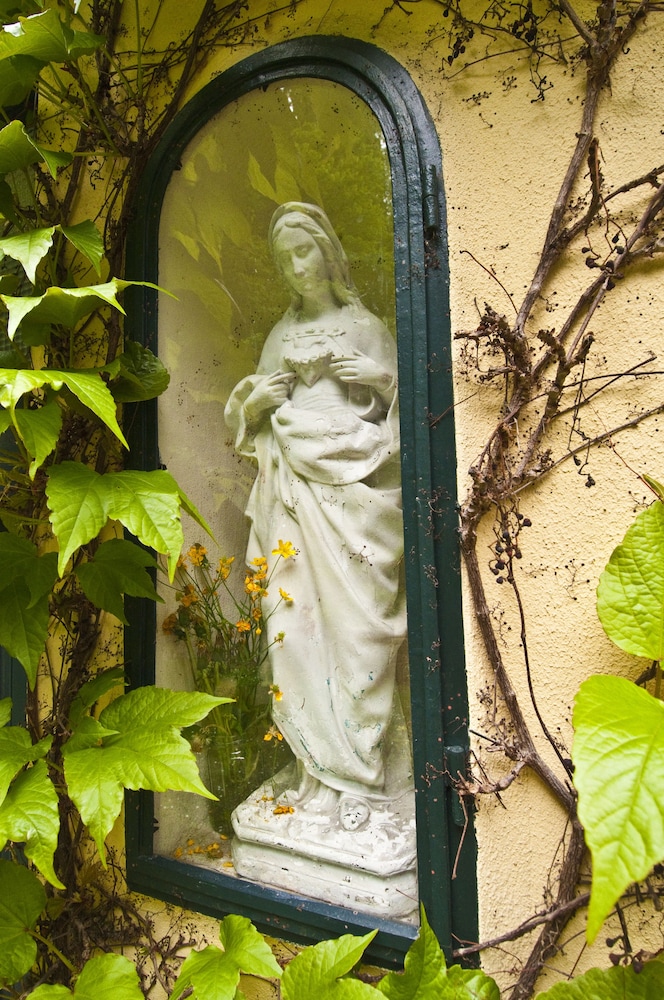 Photo 44