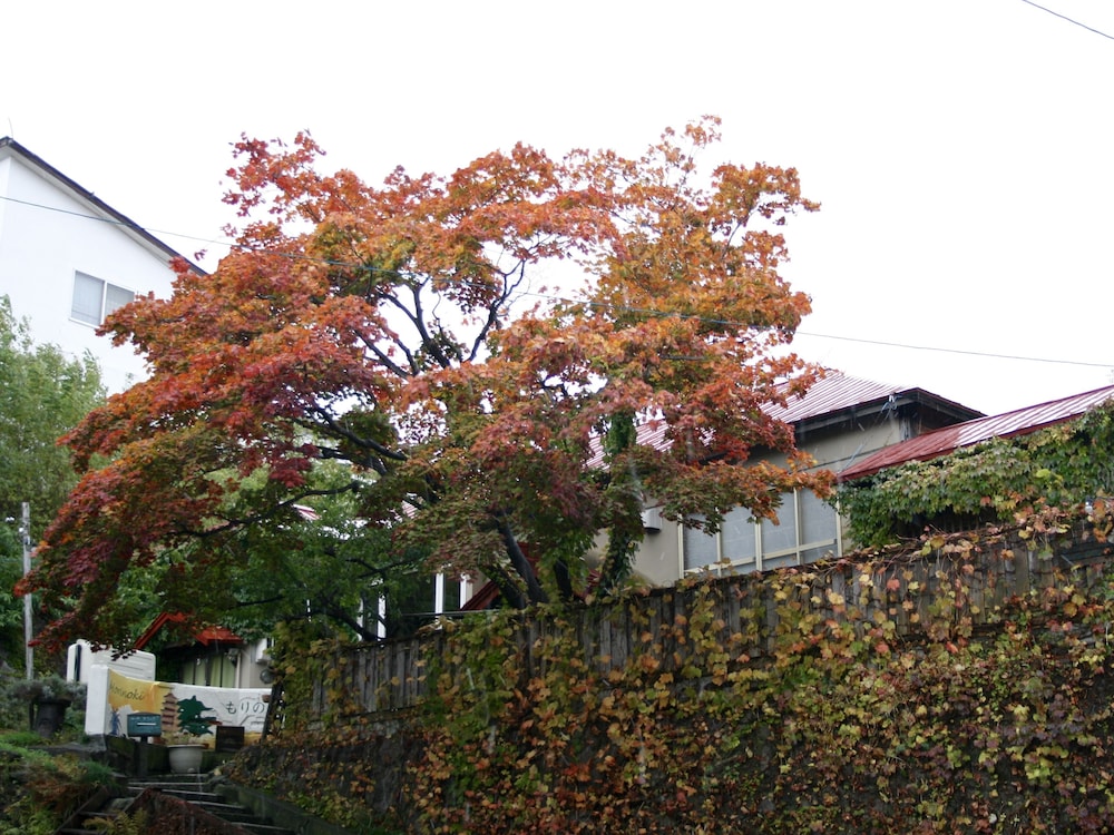 Otarunai Backpackers' Hostel MorinoKi