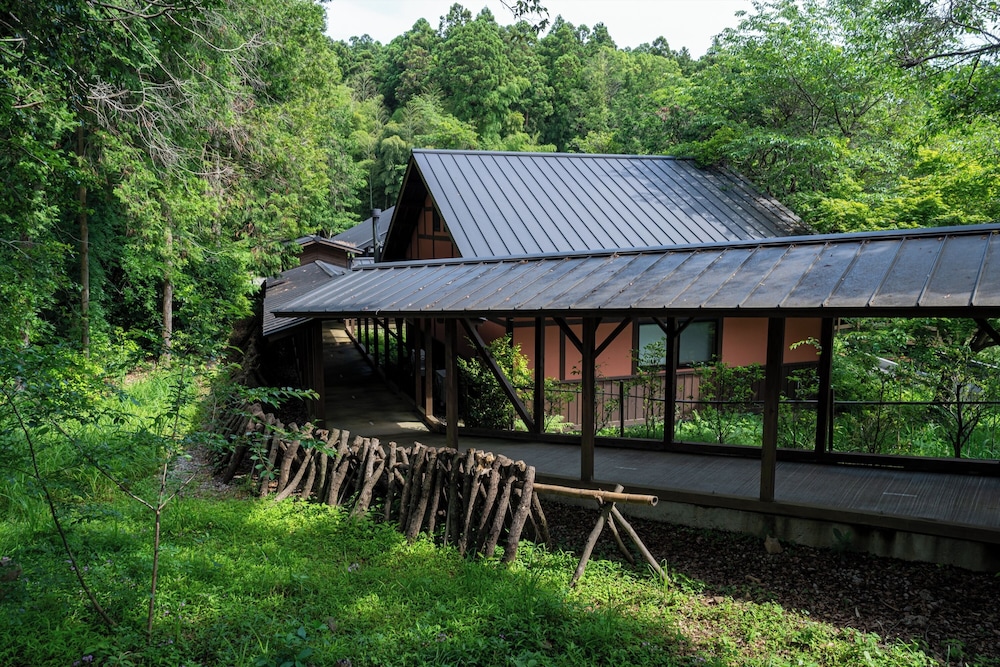 Tsuwabuki-no-Hana, Higashisonogi - 24