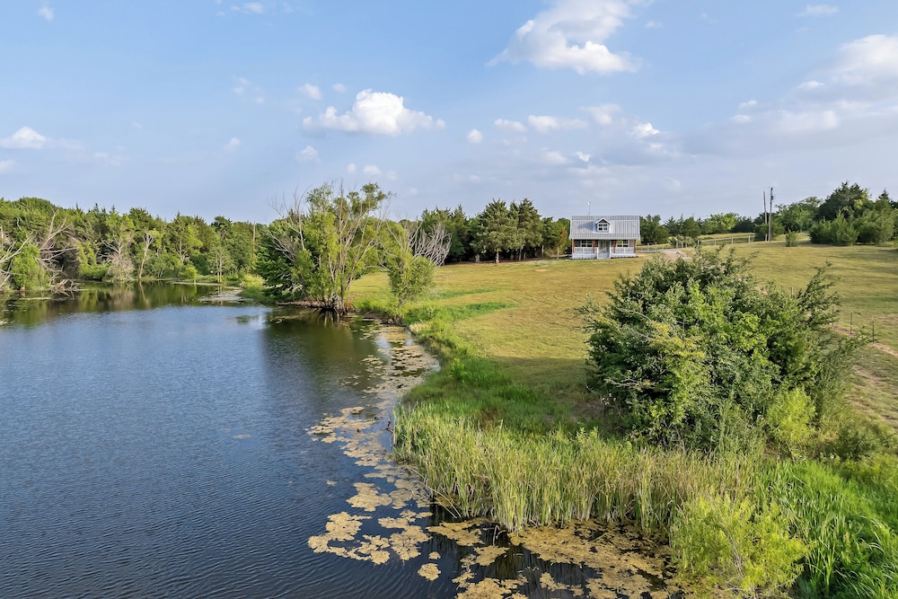 Stocked Fishing Ponds: Texas Getaway w/ Cows!