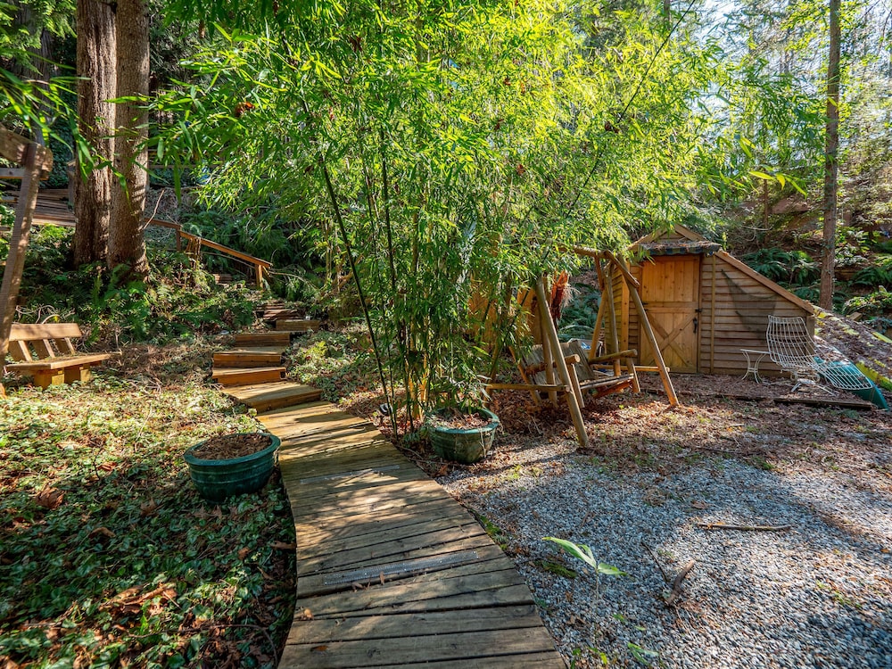 The Tree House Cottage