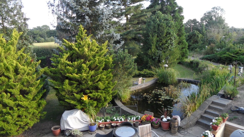 Photo 28