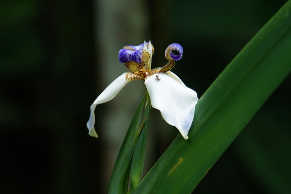 Photo 40